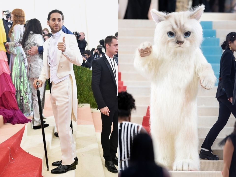 Jared Leto en traje blanco en alfombra roja a la izquierda y a la derecha vestido de gato blanco.