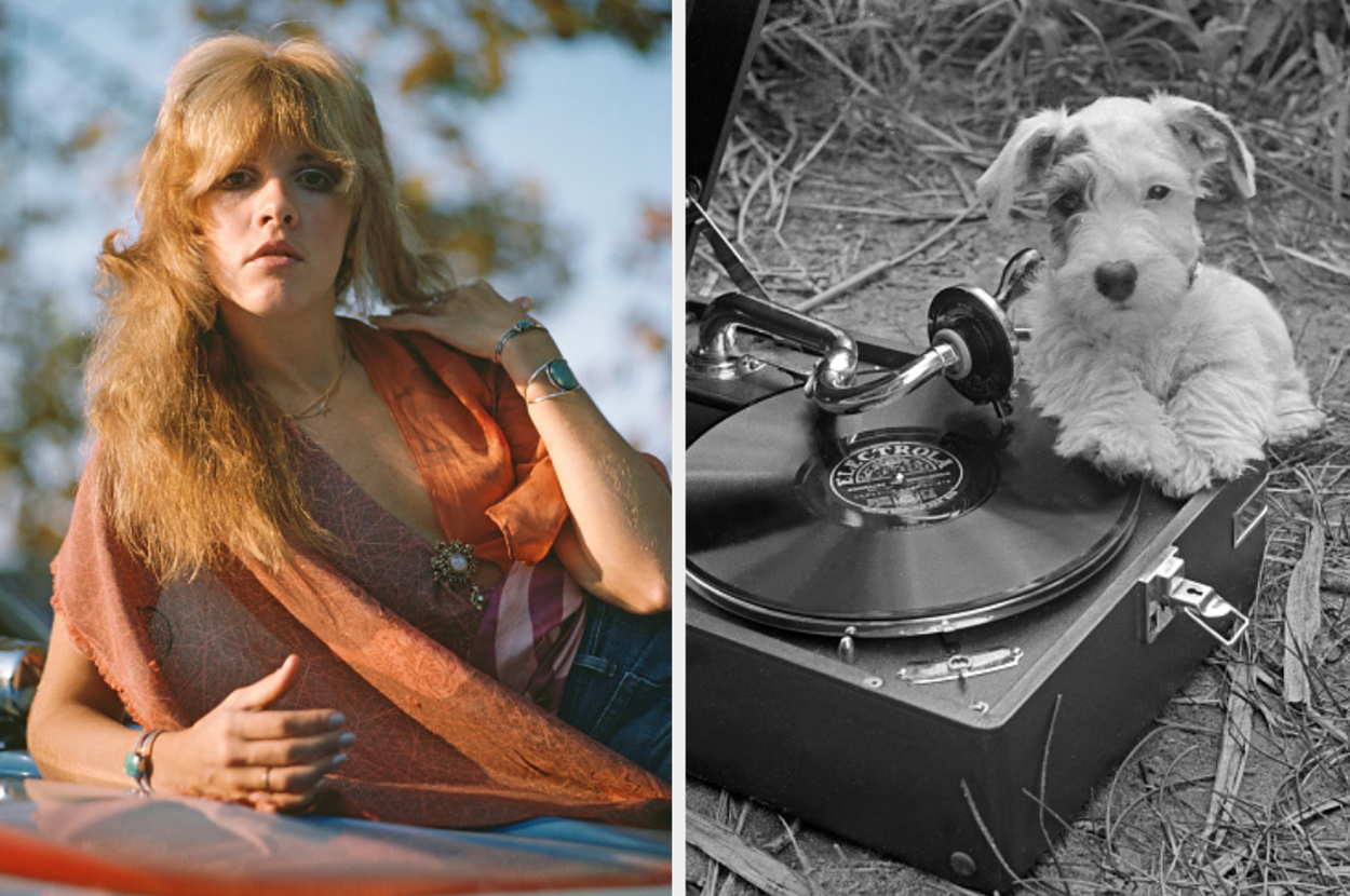 Split image: Left - Stevie Nicks posing, right - a dog sitting beside a gramophone