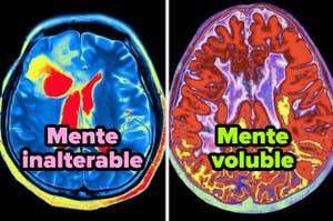 Imágenes de resonancia magnética cerebral con texto superpuesto: "Mente inalterable" y "Mente voluble"