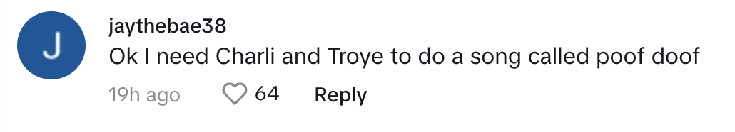 User suggests Charli and Troye collaborate on a song titled &quot;poof doof&quot;