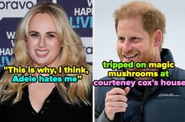 Rebel Wilson said, “Some actresses would get offended if I called them plus-size in this book, so I have to be careful with what I say. This is why, I think, Adele hates me.”
