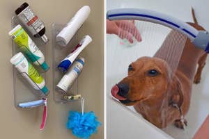 Assorted personal care products in a shower caddy; a happy dog being bathed with a shower tool