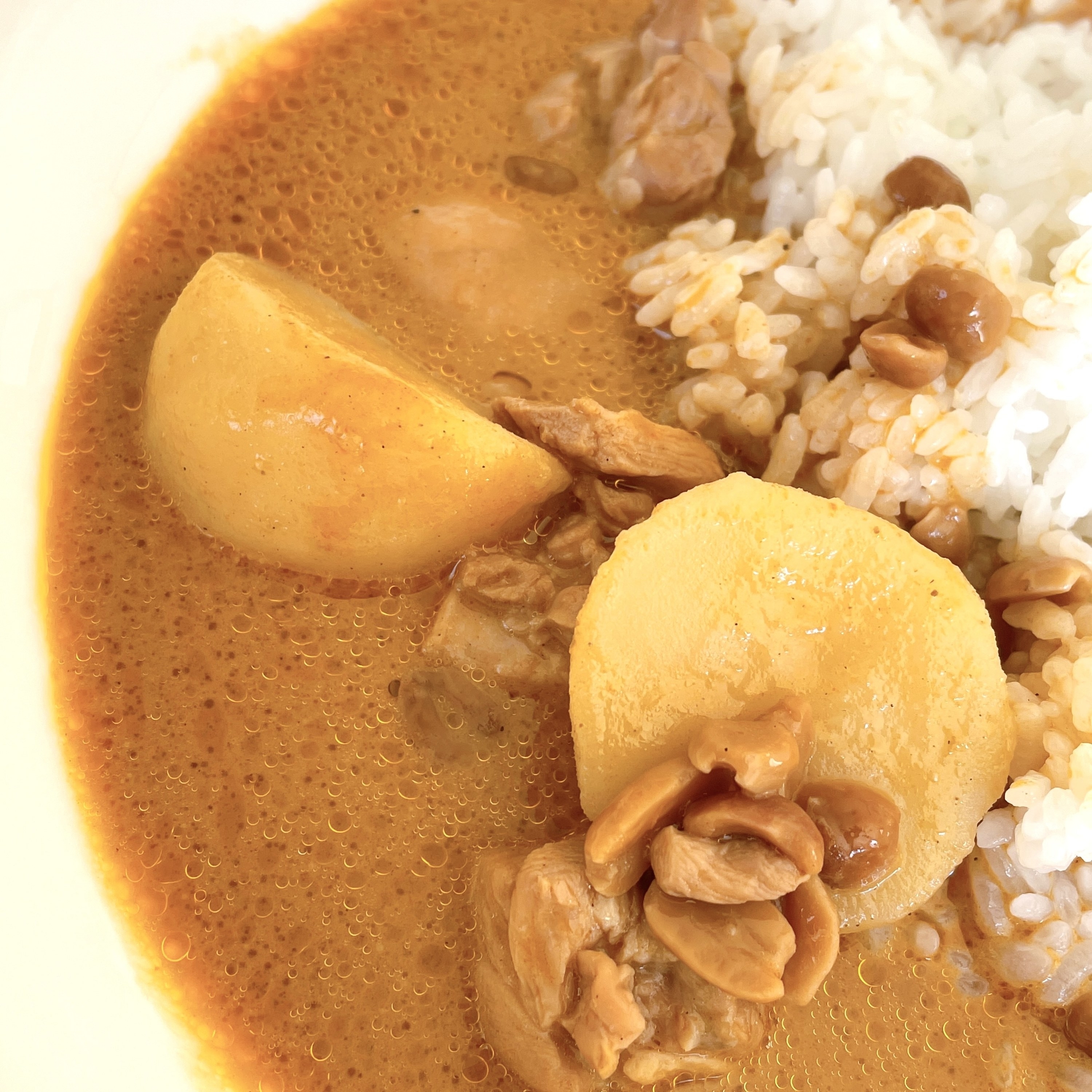 無印良品のおすすめカレー「素材を生かしたカレー マッサマン」