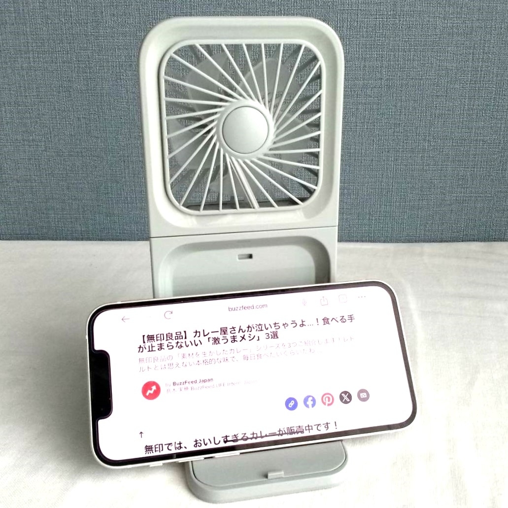 3COINSのオススメのグッズ「4WAYハンディファン」