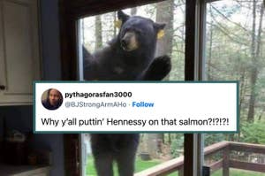 A bear standing against a glass door as seen from inside. Overlay text from a social media post reads, "Why y'all puttin' Hennessy on that salmon?!?!?!"