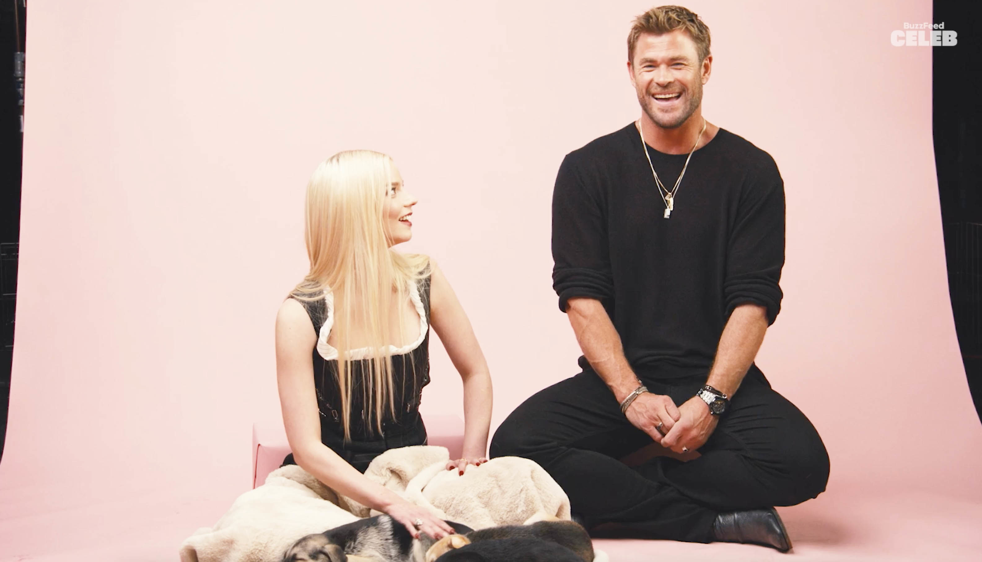 Anya Taylor-Joy and Chris Hemsworth playing with puppies while answering questions