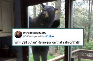 A bear standing against a glass door as seen from inside. Overlay text from a social media post reads, "Why y'all puttin' Hennessy on that salmon?!?!?!"