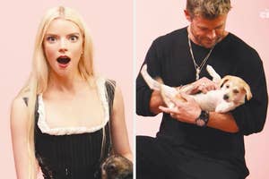 Anya Taylor-Joy surprises and Chris Hemsworth cradles a puppy in this candid, split-image photo