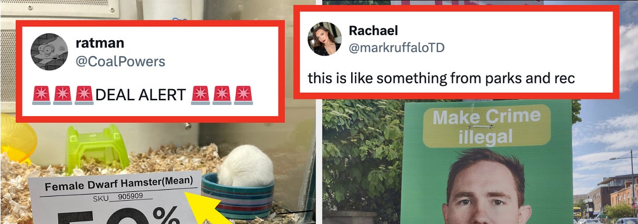 Left: Tweet by @CoalPowers with a sign for "Female Dwarf Hamster (Mean)" at 50% off. Right: Tweet by @markruffaloTD with a campaign poster reading, "Nick Delehanty - Make Crime Illegal."
