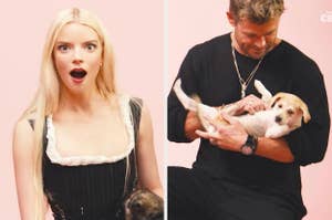 Anya Taylor-Joy surprises and Chris Hemsworth cradles a puppy in this candid, split-image photo