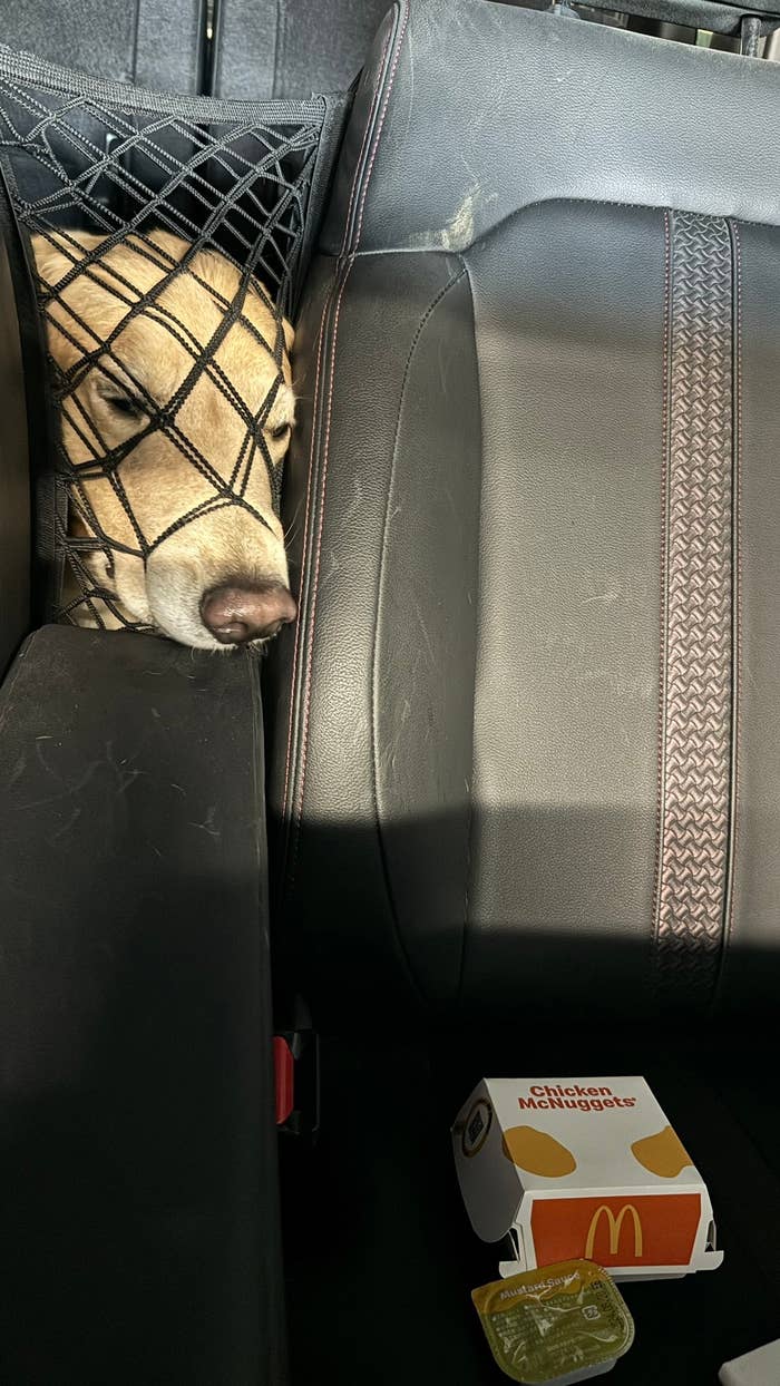 犬が車座席のネットの隙間から顔を出している。手前にマクドナルドのチキンマックナゲットの箱とソースが置かれている。