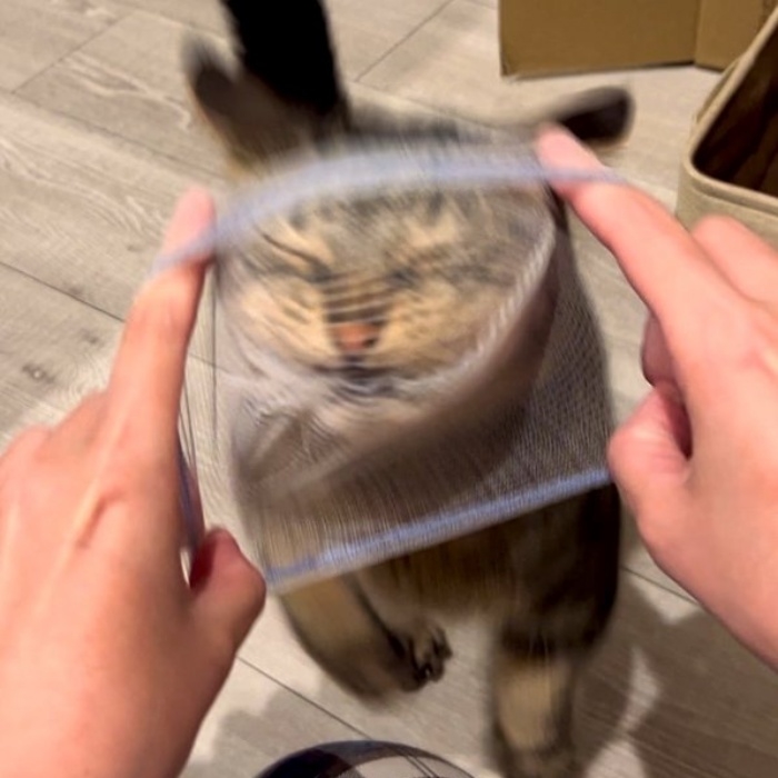 水切りネットに顔を突っ込むウルちゃん