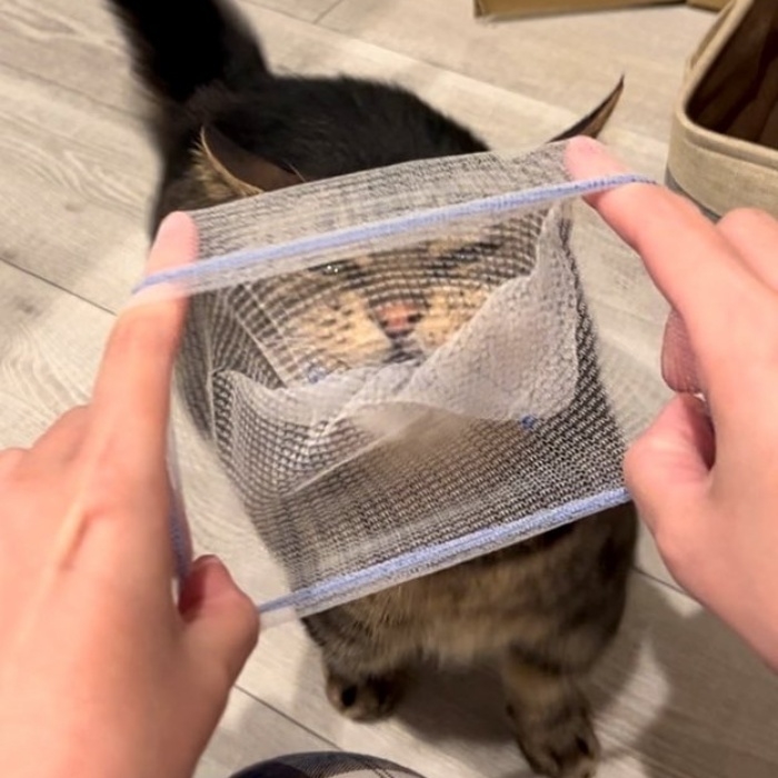 水切りネットを噛むウルちゃん