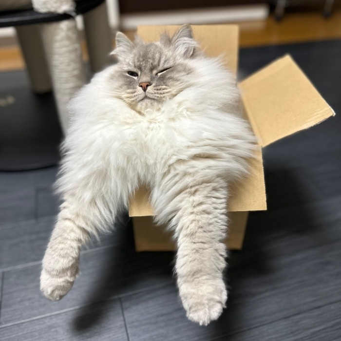 お尻から顔が生えているかのように見えるいれぶんくん