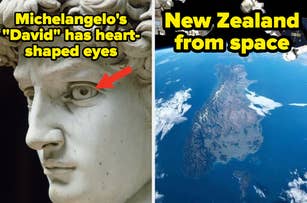Left: Close-up of Michelangelo's "David" sculpture, with an arrow pointing to the eye and text "David has heart-shaped eyes." Right: Image of New Zealand from space
