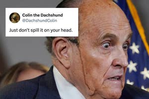 Rudolph Giuliani with a distressed expression next to a tweet from Colin the Dachshund: "Just don't spill it on your head."