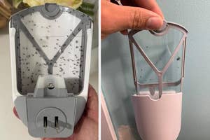 Two plug-in indoor insect traps being shown: one opened to reveal multiple trapped insects, and one being held and installed by hand