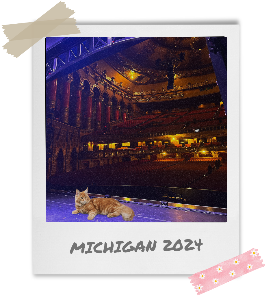 A cat lies on a stage with a theater audience section in the background. The caption reads &quot;Michigan 2024.&quot;