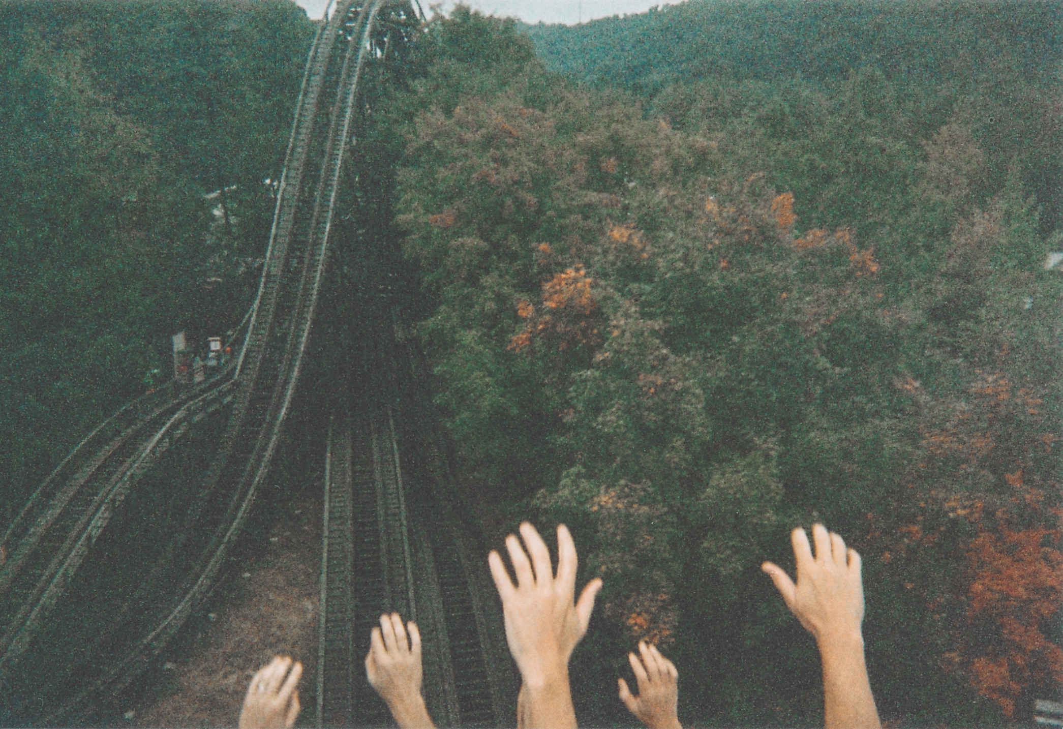 Several hands raised in the air on a roller coaster ride, surrounded by dense trees and visible tracks ahead
