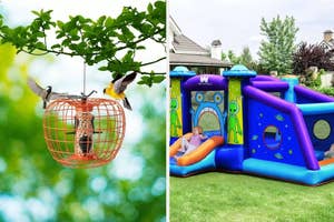 Left: Birds feeding from a hanging bird feeder. Right: Inflatable backyard bounce house with children playing inside