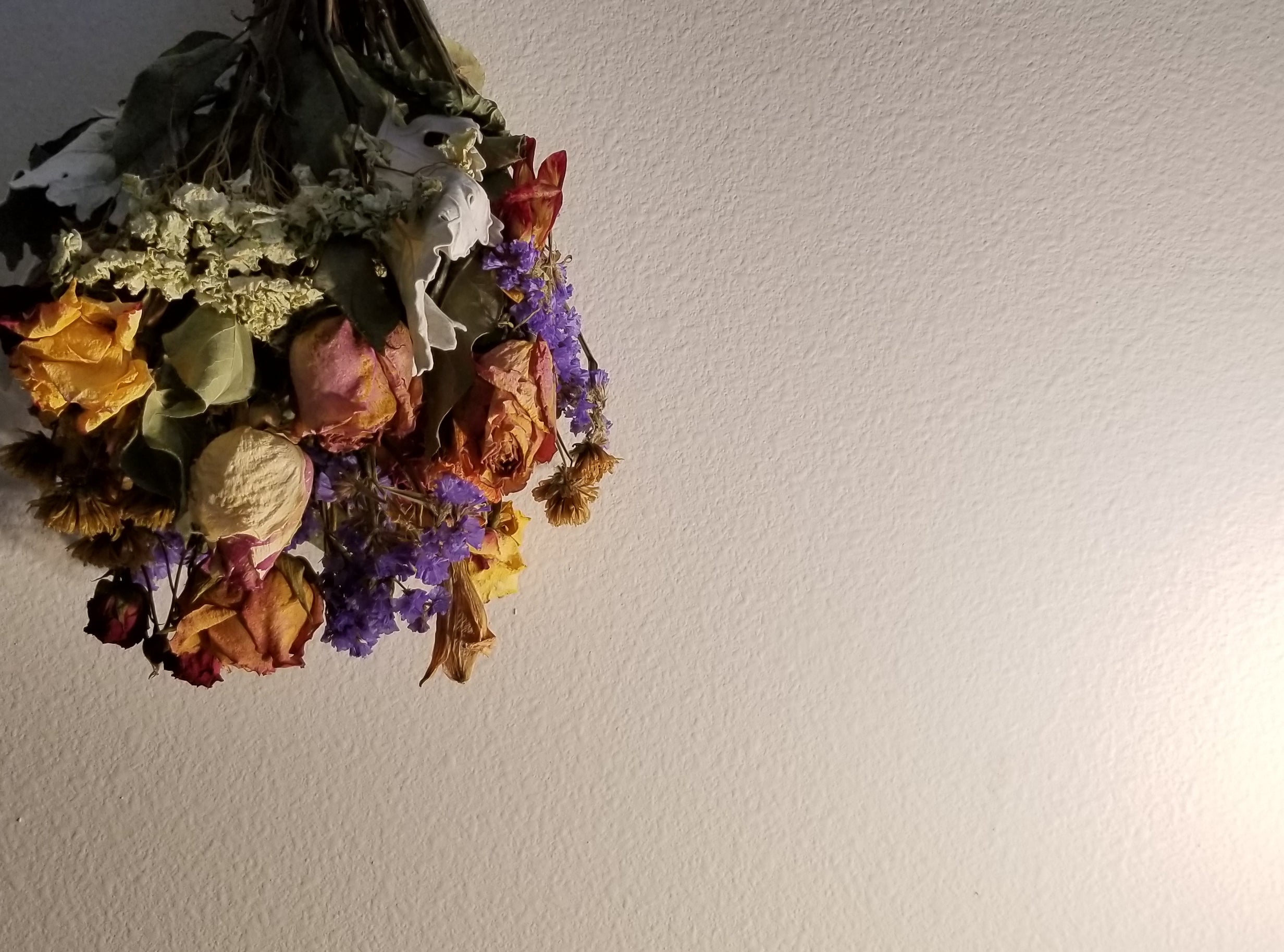 Bouquet of dried flowers hanging upside down against a plain wall with a light shining from the right