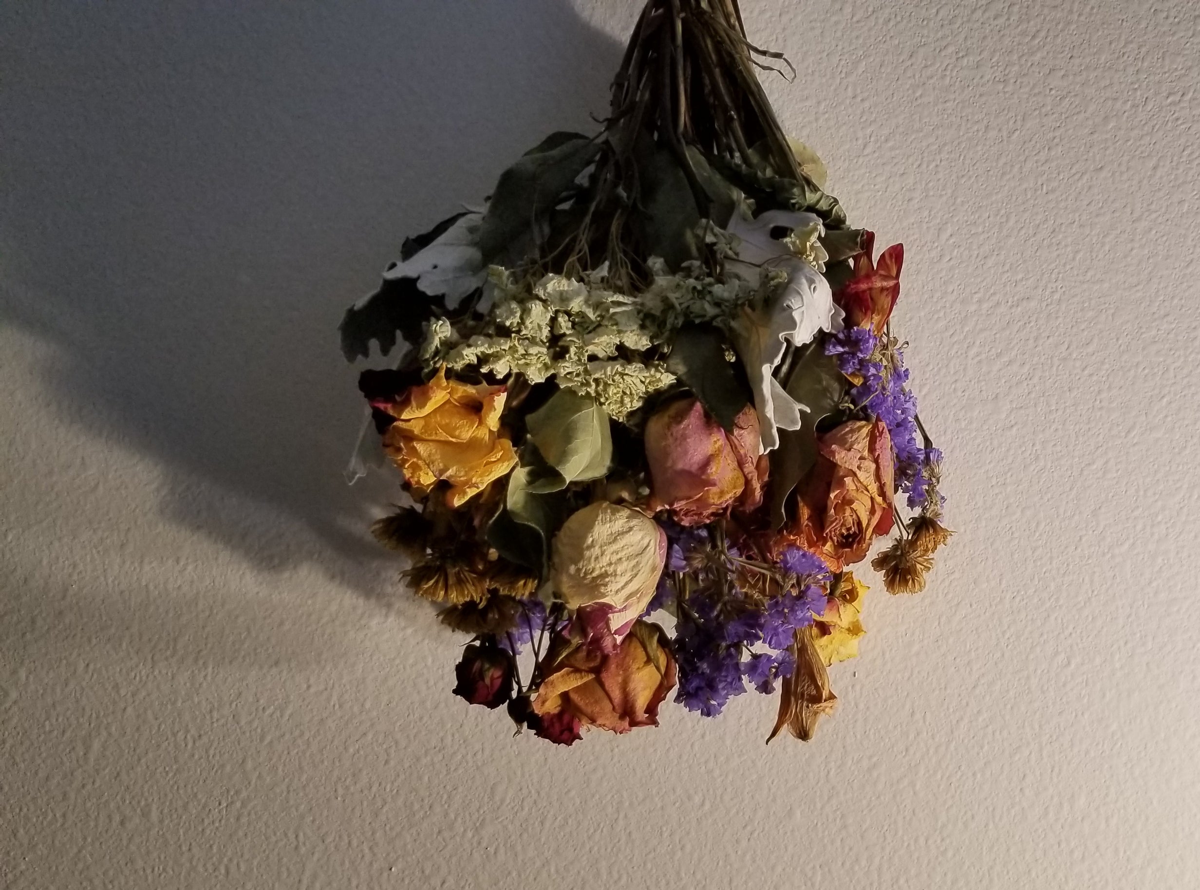 Bouquet of dried flowers hanging upside down against a plain wall with a light shining from the right