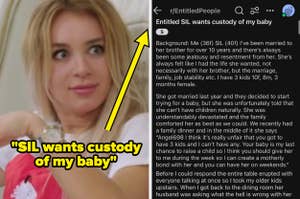 shocked reaction and post complaining about SIL who wants custody of OP's baby