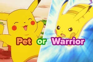 Pikachu in two scenes: on the left, happy with "Pet" text; on the right, fierce with "Warrior" text