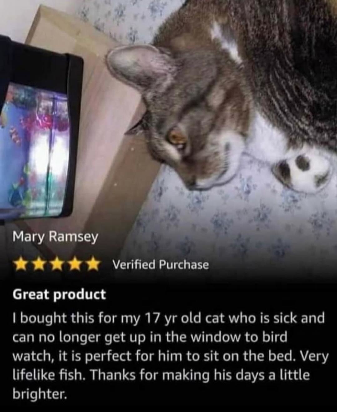 A cat lies on a patterned bed next to an aquarium. The text reads Mary Ramsey, Great product: A 17-year-old sick cat enjoys watching lifelike fish in the aquarium from the bed