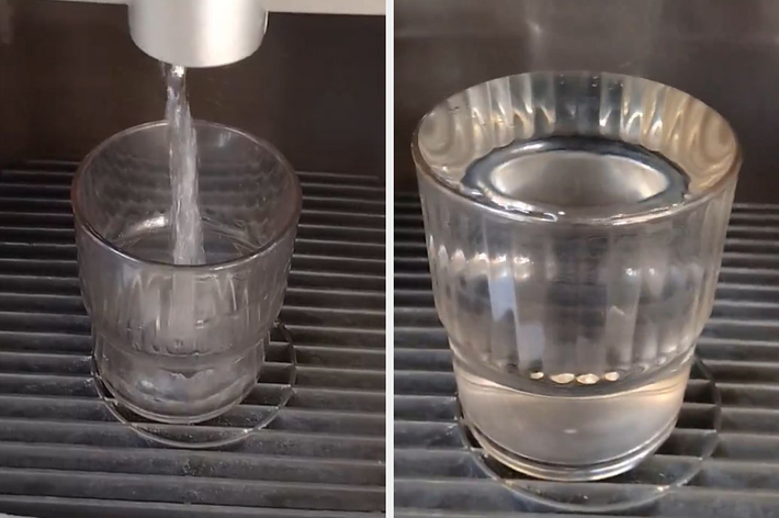 ウォーターサーバーに水を注いでる動画 / 猫屋さんのXより