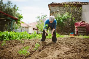 An older person is planting a seedling in a garden. There is a stone building and greenery in the background
