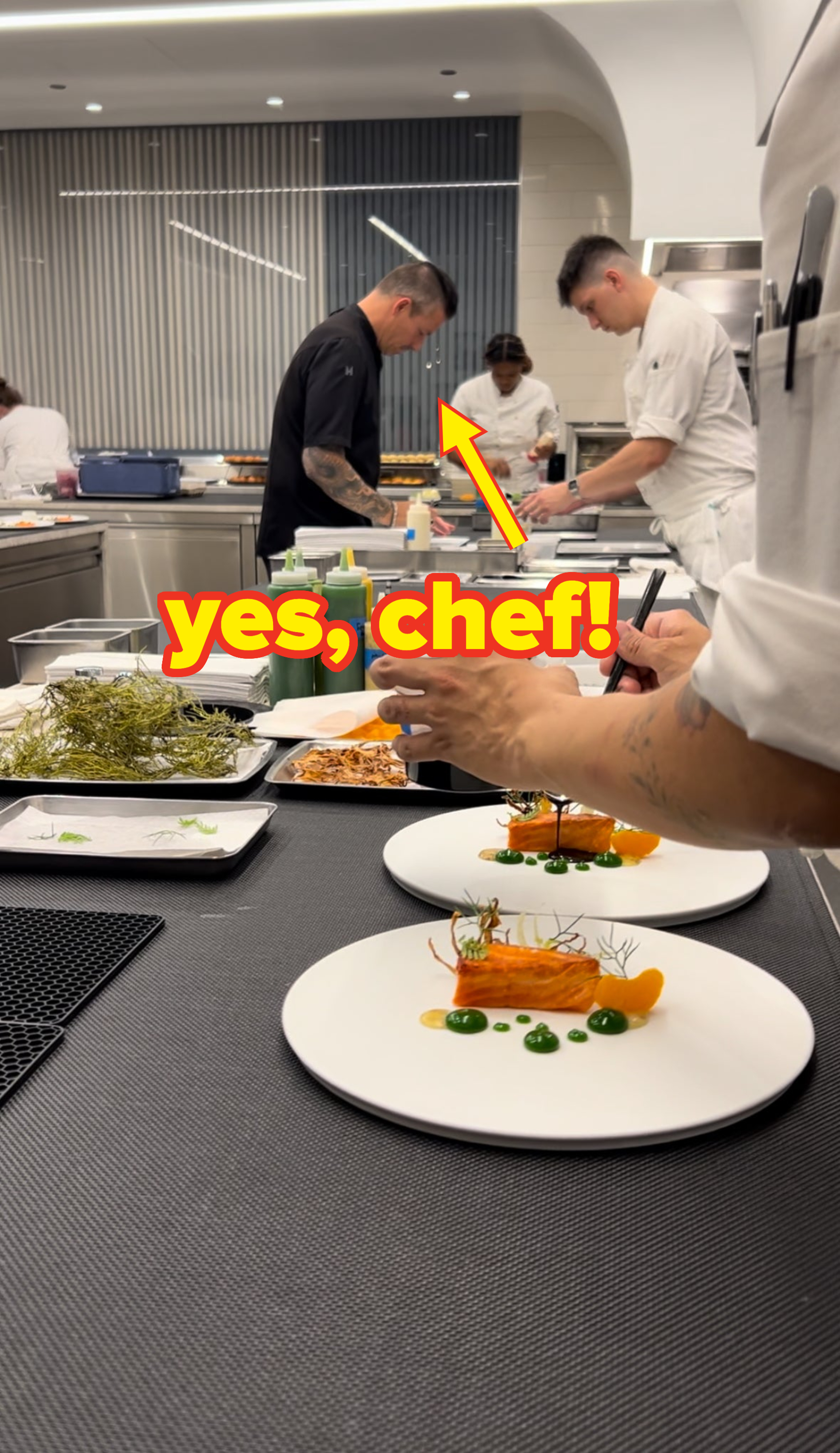 Chefs prepare and plate gourmet dishes in a professional kitchen, focusing on precision and presentation. Multiple plates with intricate designs are seen