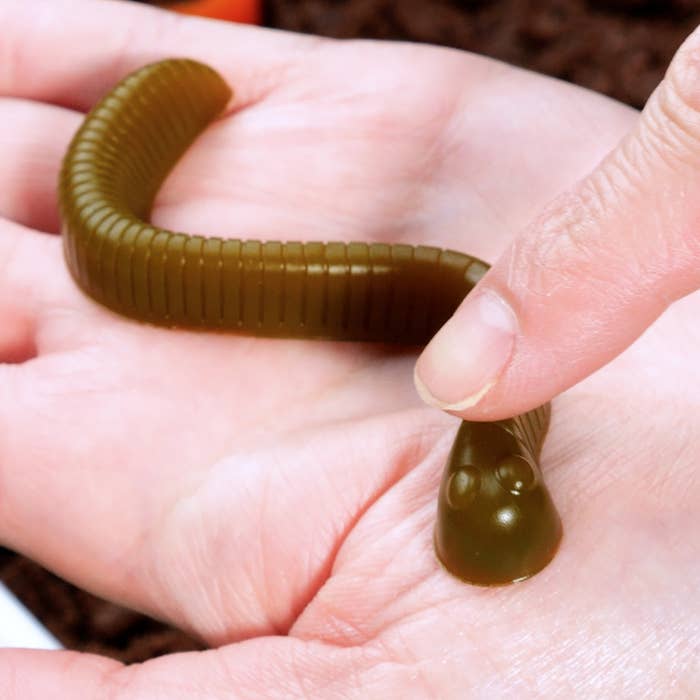 ワームグミを手に乗せている。