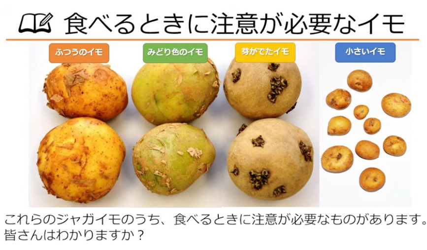 食べるときに注意が必要なジャガイモのクイズ（農水省の公式YouTubeより）