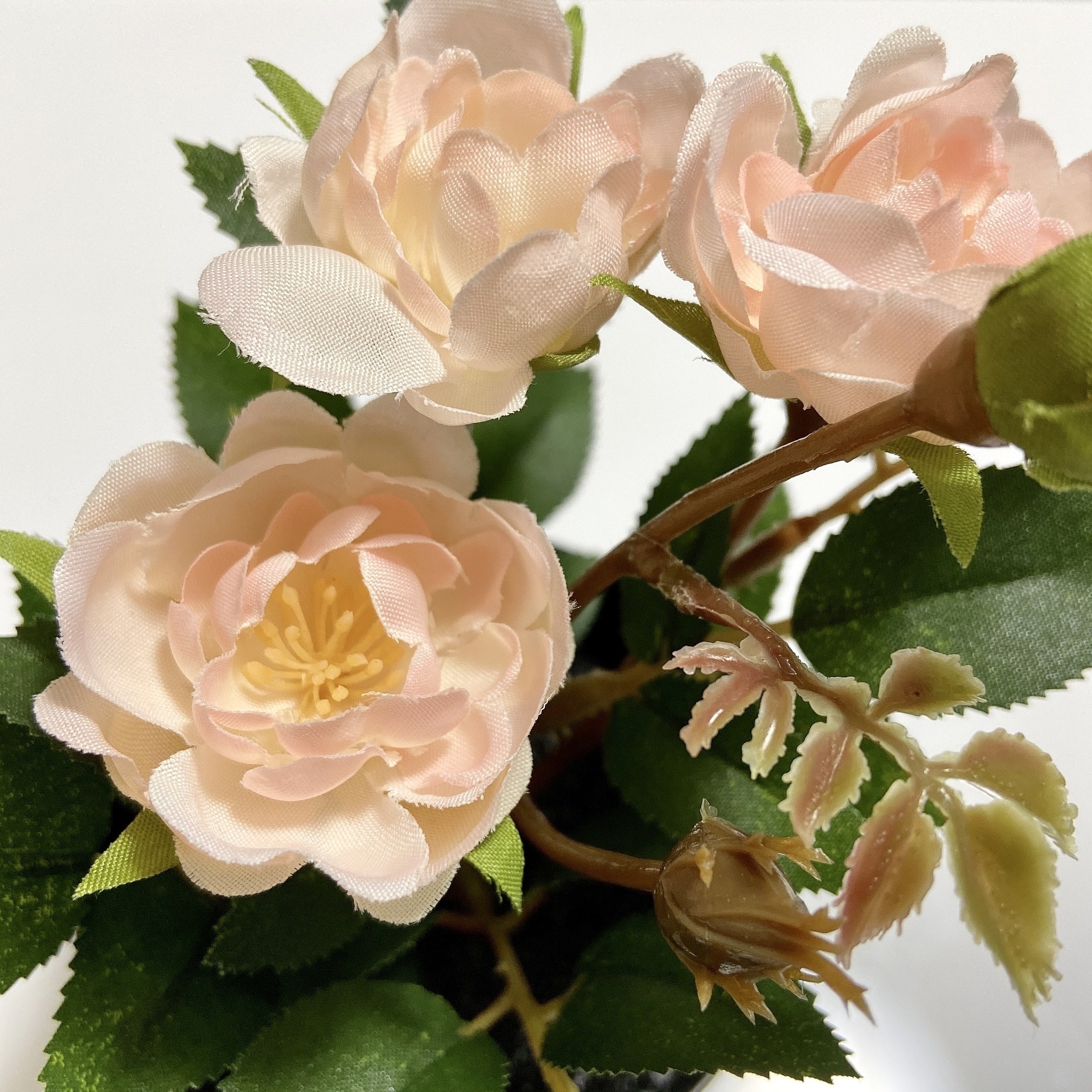 IKEAのおすすめフェイクグリーン「FEJKA フェイカ人工観葉植物 室内／屋外用／バラ」