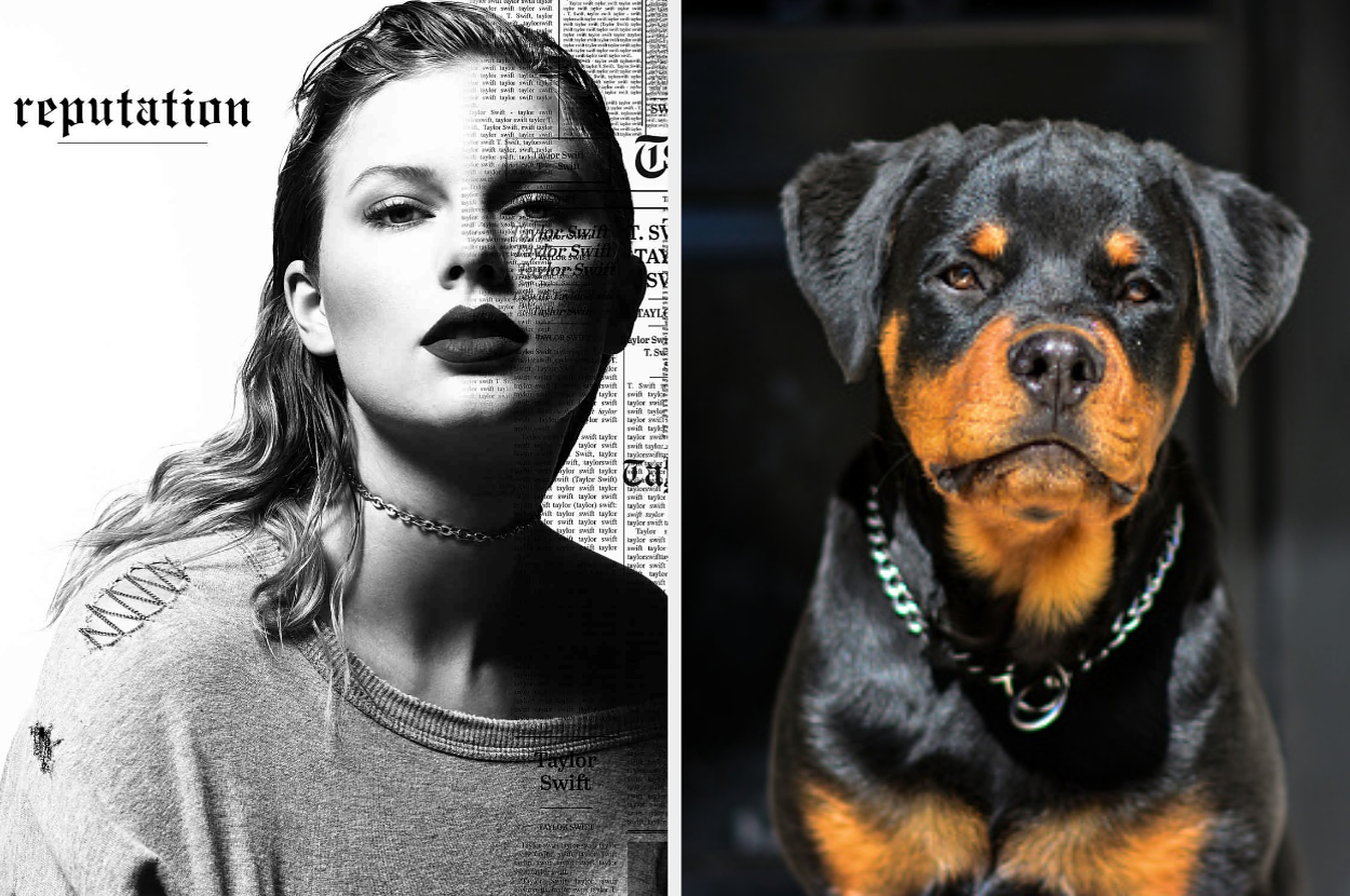 Taylor Swift appears on the left side of a split image with a dog on the right. Text "reputation" and newspaper prints partially overlay Taylor's face