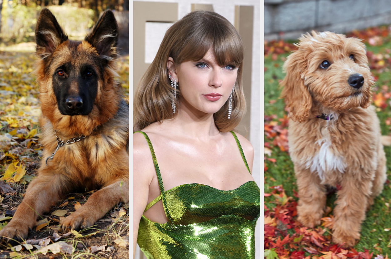 Taylor Swift is in the center wearing a stylish, green sequin dress. On the left is a lying German Shepherd, and on the right is a standing fluffy puppy