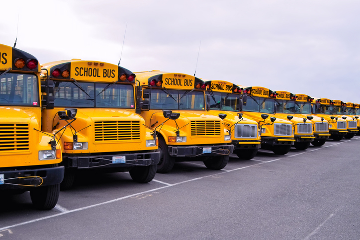 A row of yellow school buses parked side by side in a parking lot. The buses are aligned uniformly, with their fronts facing forward