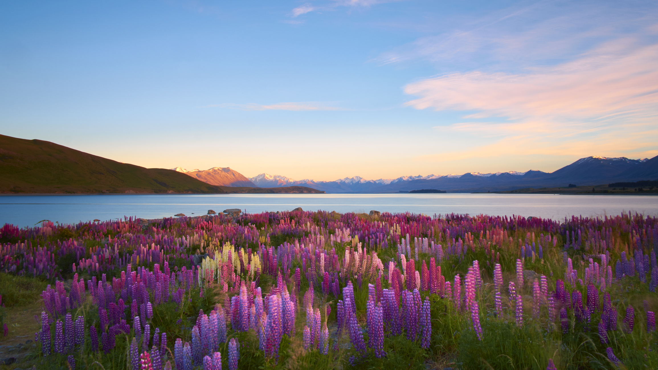 A beautiful, serene lake surrounded by blooming wildflowers and distant mountains under a clear sky at sunset