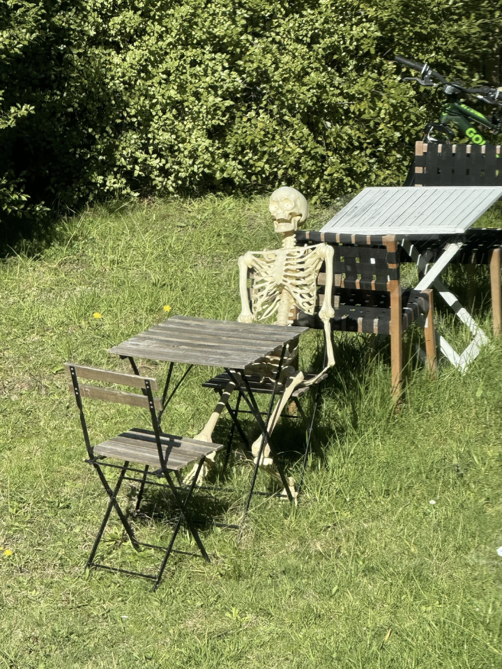 A plastic skeleton sits at a small outdoor table with two chairs on a grassy lawn, near a barbecue grill, surrounded by greenery