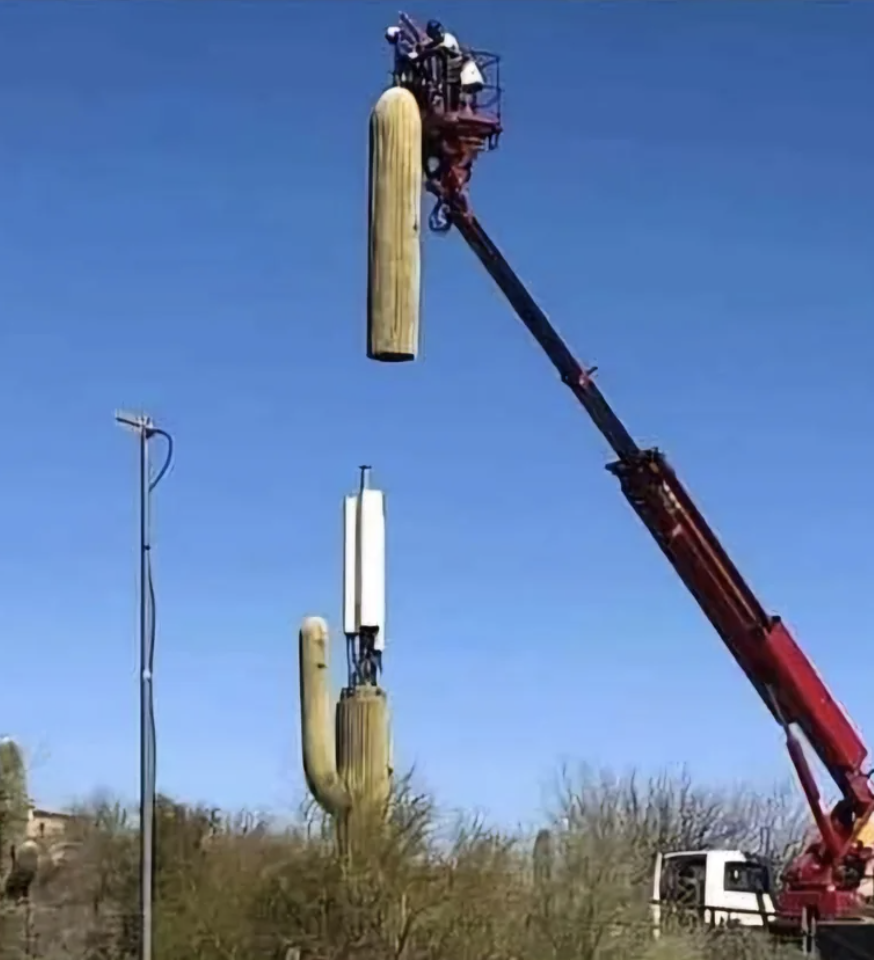 Workers on a crane tower replace part of a large cactus with a cell tower, blending it with the natural cacti landscape