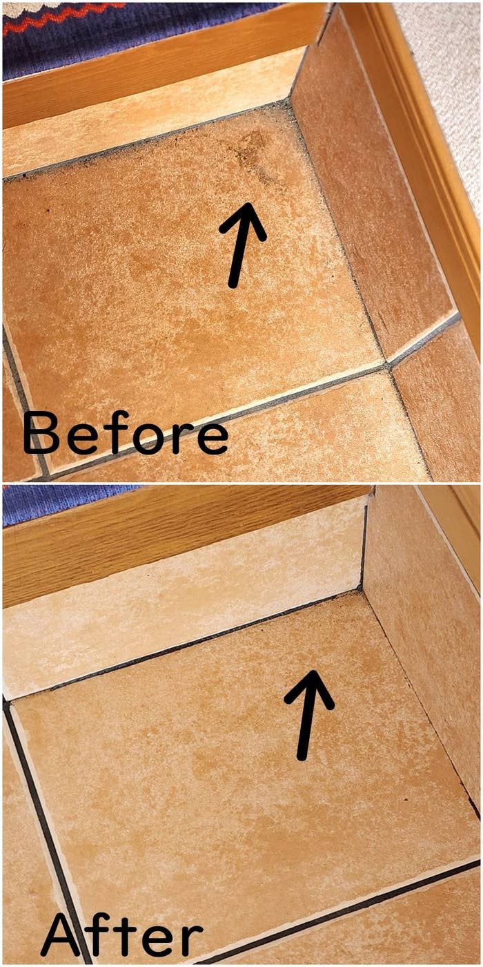 ニトリのおすすめお掃除グッズ「水だけで汚れを落とせる 伸縮玄関ブラシ」