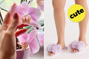 Close-up of a hand holding an orchid on the left and a person wearing fluffy lavender slippers with the text "cute" on the right