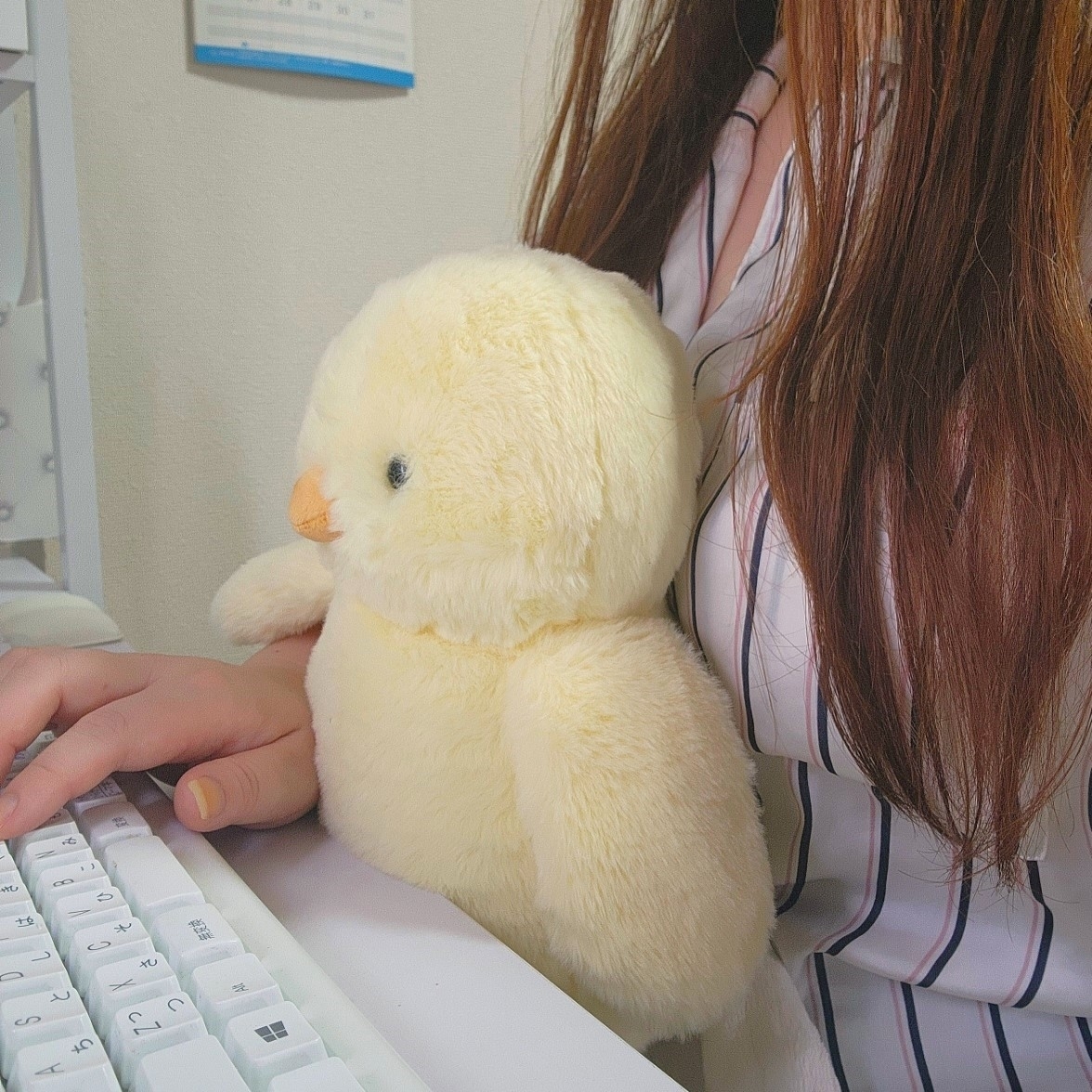 ニトリのおすすめ雑貨「ぬいぐるみ（ヒヨコS SF02）」