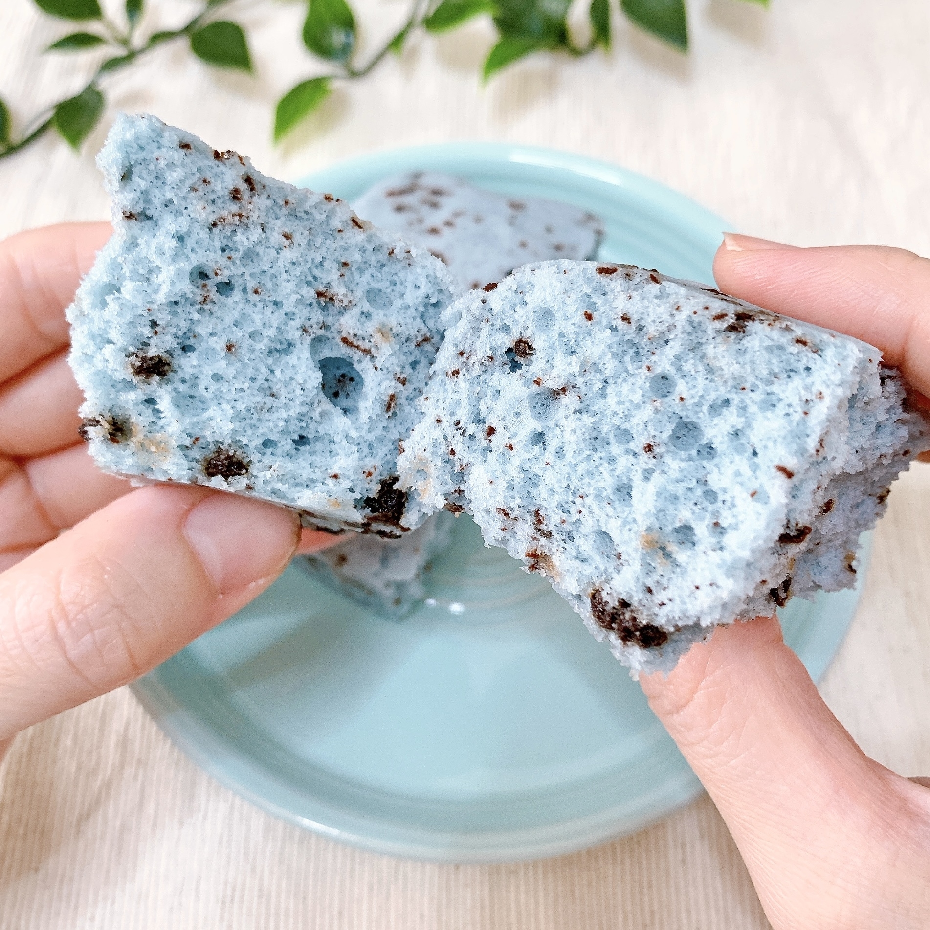 FamilyMart（ファミリーマート）のおすすめのパン「チョコたっぷりチョコミント蒸しケーキ」