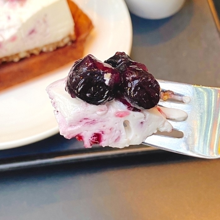 Starbucks Coffee(スターバックスコーヒー)のおすすめスイーツ「ブルーベリーレアチーズケーキ」