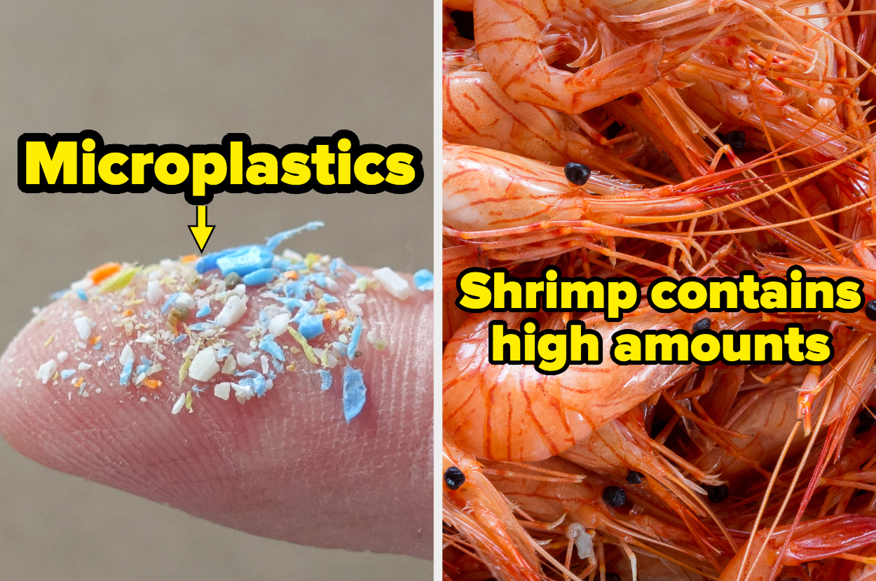 A finger with microplastics on the left and a pile of shrimp on the right. Text reads: "Microplastics" and "Shrimp contains high amounts."