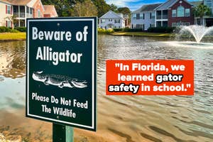 Beware of Alligator sign near a pond with residential houses and a fountain, with text saying, "In Florida, we learned gator safety in school."