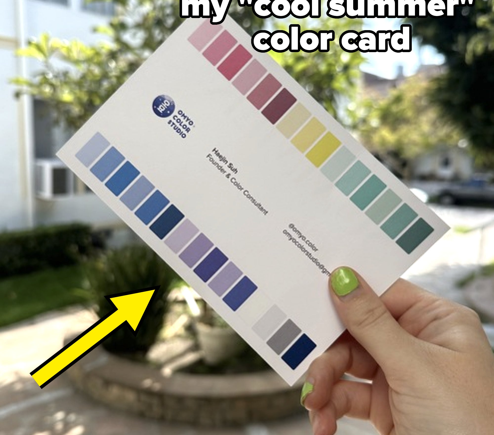 A person holds a color sample card with various shades against a blurred outdoor background