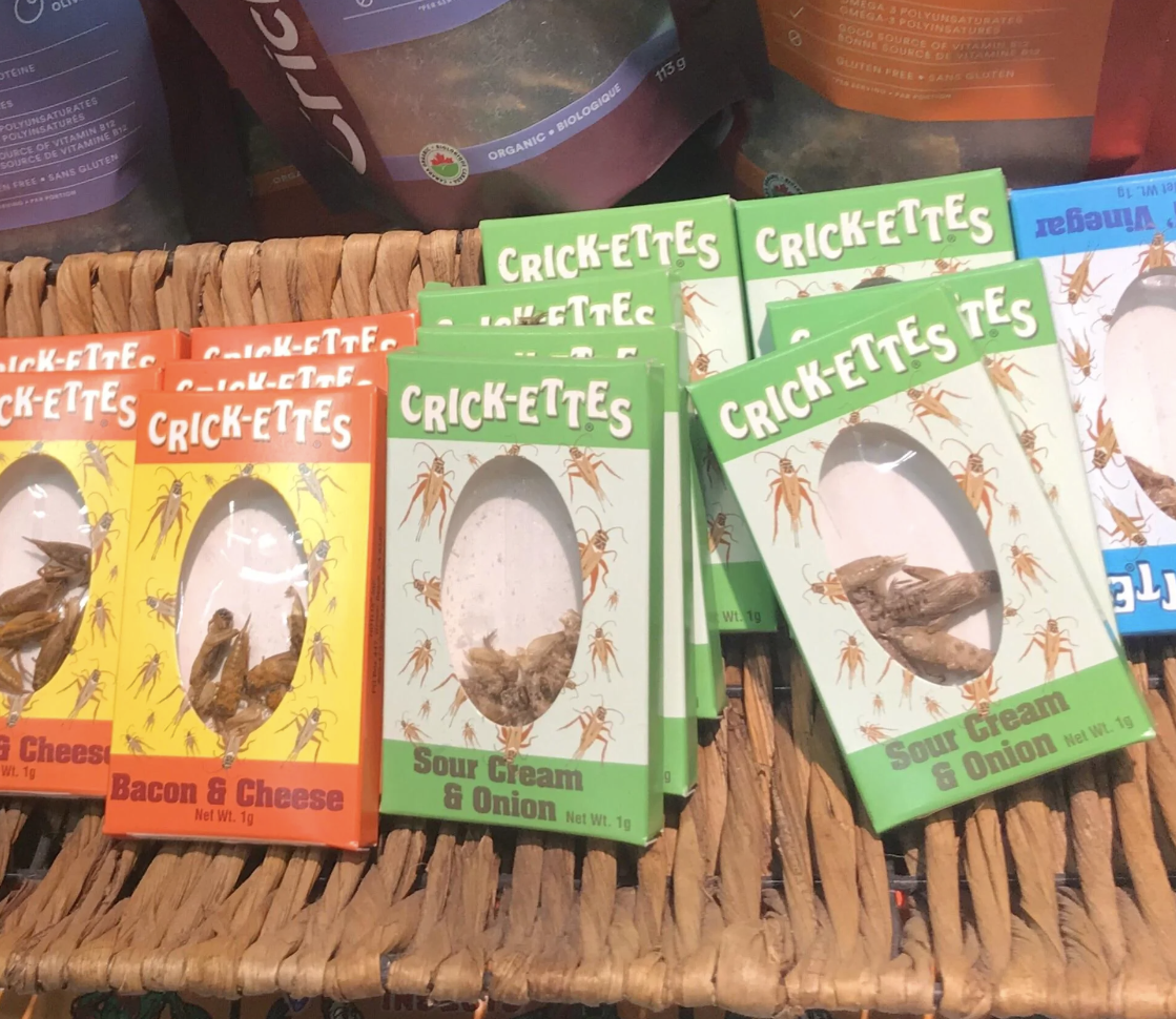 Photo of shelves in a grocery store displaying various flavored cricket snacks in Canada, with packages labeled as BBQ, Sour Cream and Onion